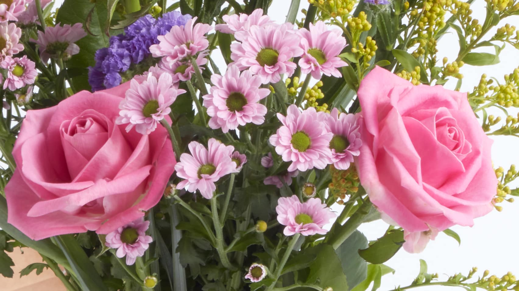 Flowers & Plants