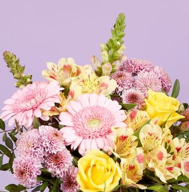 Spring Flowers