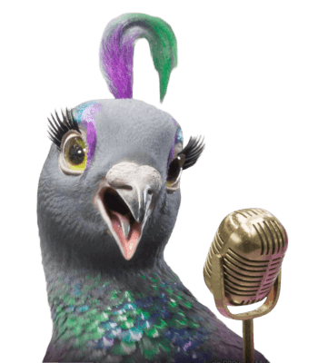 funky pigeon