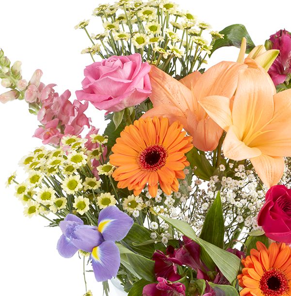 product image gallery_1
