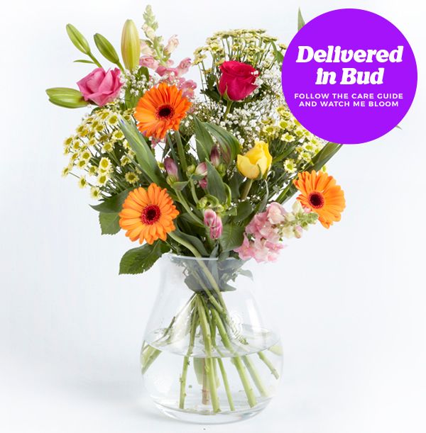 product image gallery_4