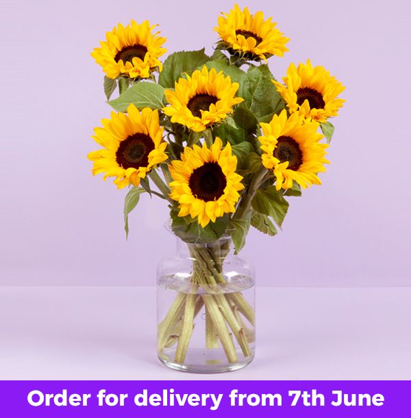 product image gallery_main
