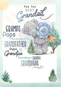 Tap to view Me To You Best Grandad Father's Day Card