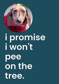 Tap to view I Won't Pee on the Christmas Tree Photo Card