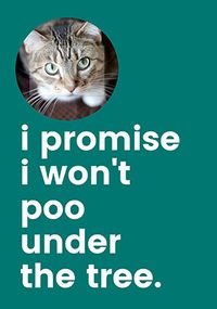 Tap to view I Won't Poo Under the Christmas Tree Photo Card