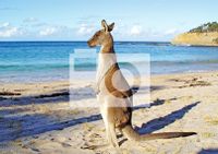 Tap to view Landscape Full Photo Holiday Postcard